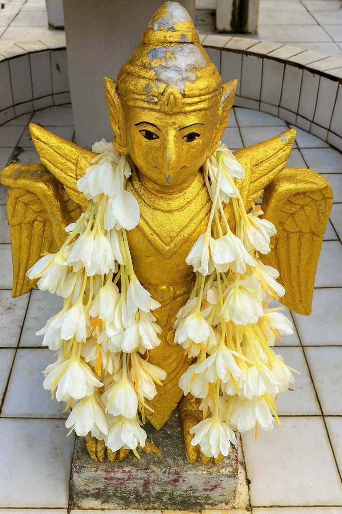 Chim thần Garuda
