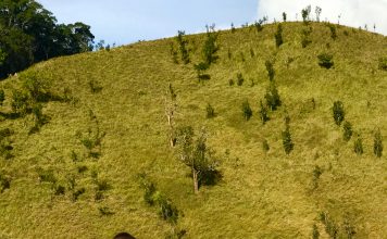 Trekking Tà Năng – Phan Dũng