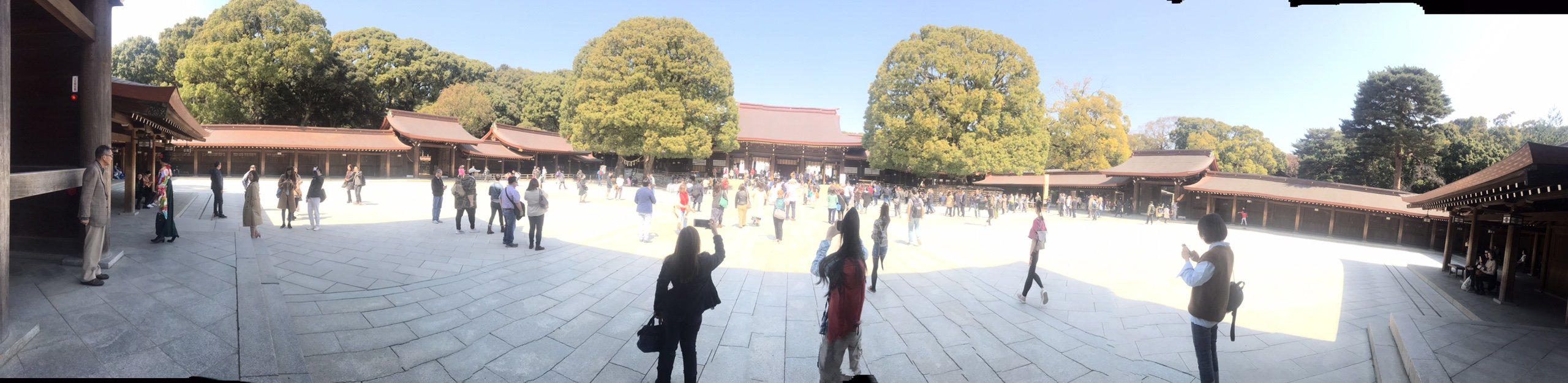 Tham quan Đền Meiji Jingu ở Tokyo Nhật Bản