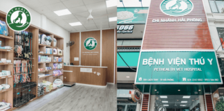 Các lò hỏa táng thú cưng tại Hà Nội uy tín nhất 2025